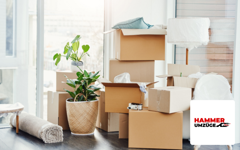 Webdesign Agentur Hamburg Referenz Umzugsunternehmen